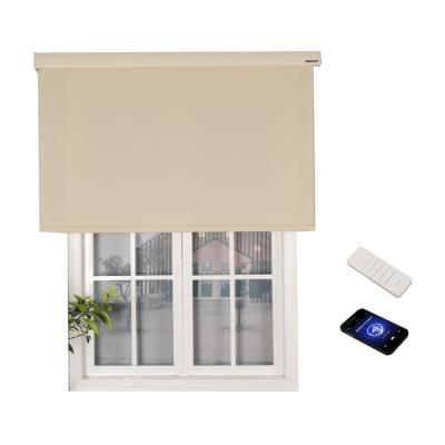 China Minimalist Indoor Motorized Electric Remote Control Sun 100 Blackout Automatic Window Shade Roller Shade Plain French Customize Home for sale