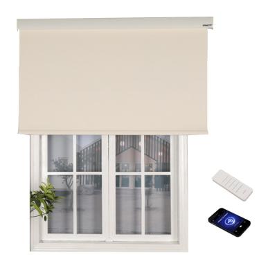 China Minimalist Indoor Motorized Electric Remote Control Auto Blackout Window Shade Roller Shade Sun Customize French Door for sale