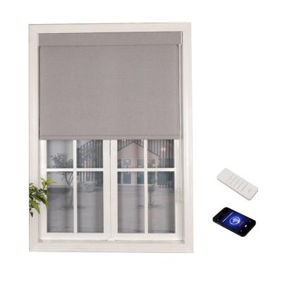 China Minimalist Indoor Motorized Electric Remote Control Automatic Blackout 100 Sun Window Shade Roller Shade For Home for sale