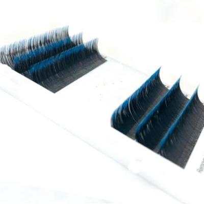 China Natural /Soft 6Rows Color Fake Mink False Eye Lashes Professional Free Shipping Individual Salon Blue Purple Eyelash Extension Ombre for sale