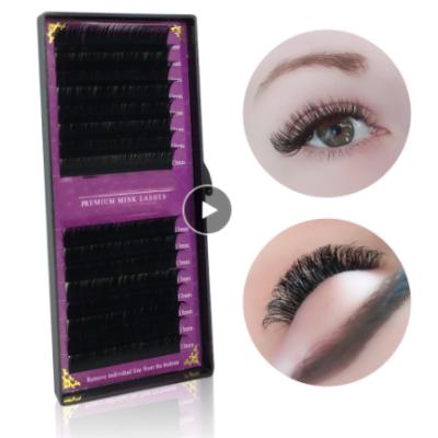 China Natural Soft Faux Mink /Soft 16Rows Individual Eyelash Extension Lashes Different Eyelash Extensions For Professional Perfect Use for sale