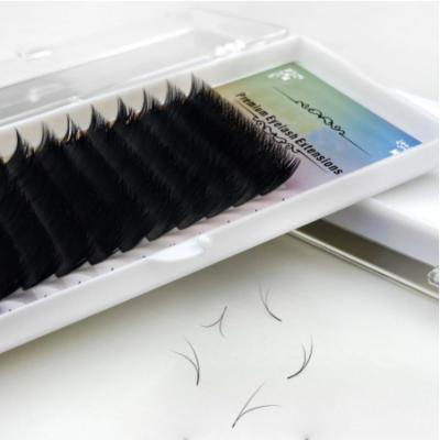 China Natural Easy Volume Lash Extension Premium /Soft Shape Eyelash Extension 8-12mm Fan Lashes Volume for sale