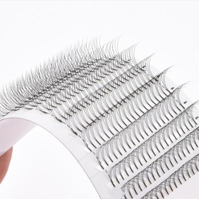 China Natural Fans False /Soft Lines 3d/4d/5d/6d Lash Russian Volume Eyelashes Premade Volume Eyelashes Wholesale for sale