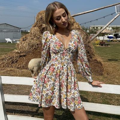 China Ladies Long Sleeve V-Neck Floral Print Dress Women Skater Anti-Static Casual Dress Women Clothing Manufacturer for sale