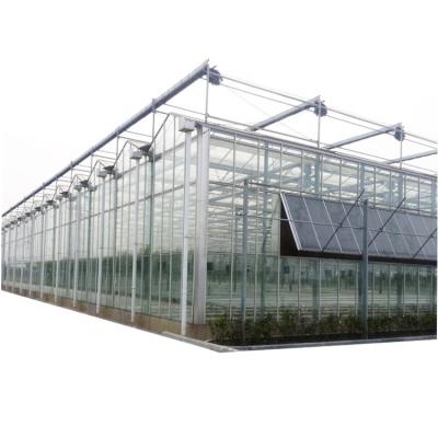 China Heavy Duty Metal Frame Commercial Cost Big Sunbubble Agricultural Greenhouses Large Affordable for sale