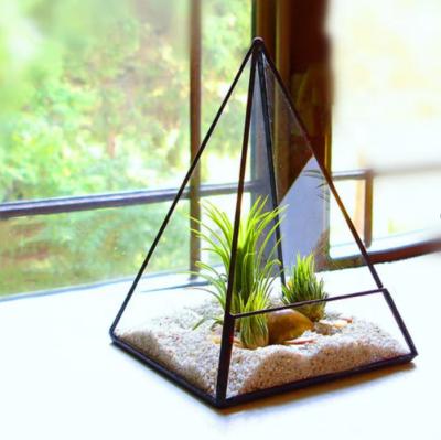 China CLASSIC Flower Pot for Succulent Cactus Moss Terrarium Container Pyramid Shape Succulent Air Plants for sale