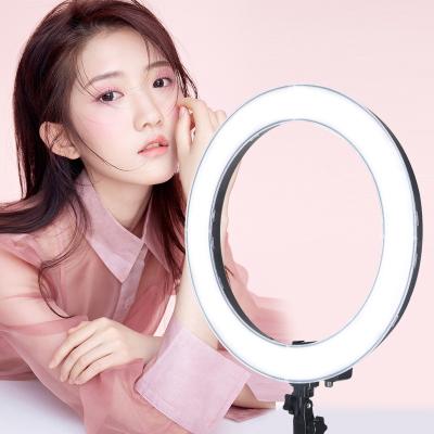 China Mini 10 Inch In Dimmable LED Lighting Selfie Photographic Makeup Ring Light For Makeup Photography Ring Light Lamp for sale