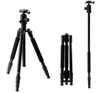 China Professional LW M2508 Portable Digital Camera Camera Tripod Travel Aluminum Stand with Stand Video Camera Professional Dslr Camera Tripod for sale