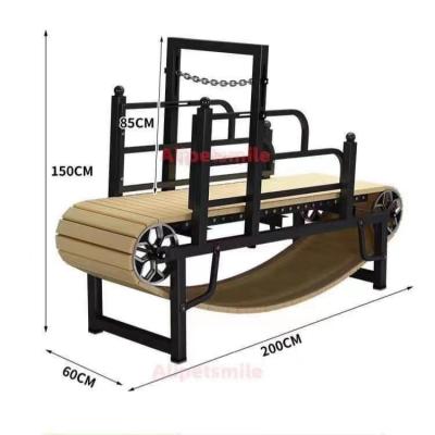 China Indoor Sports Dog Exercise Machine Gym Equipment Pet Running Sustainable REPTILES Dog Agility Training Wood Equipment HBS CN;ANH for sale