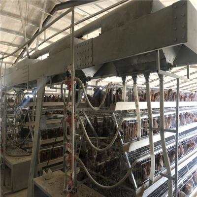 China 2020 Professional A Poultry Field China Farm Cage Layer Poultry Cages Layer Manufacturers Sale for sale