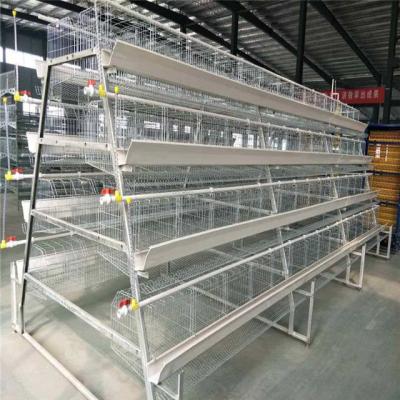 China Professional New Design Poultry Field China Farm Cage A Layer Poultry Cages Layer Hot Sales for sale