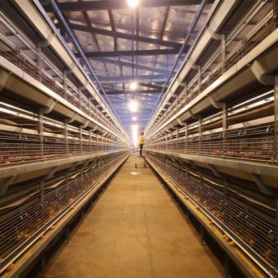 China Poultry Field Poultry Farming Equipnmet One Layer Chicken Cage Type With Automatic System For Sale for sale