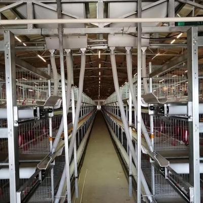 China Automatic Poultry Field Poultry Farming Equipment A Battery Rig Broiler Cages For Sale for sale