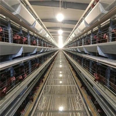 China Fully Automatic Layer Battery H Type Poultry Field Supply Egg Layer Chicken Cages System for sale