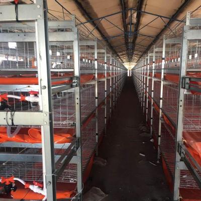 China Cheap Poultry Field Factory Supply New Design Chicken Layer Cages for sale