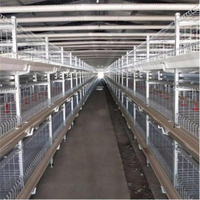 China New design professional chicken poultry field farm layer h type cages with good price for sale