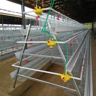 China New Design China Poultry Farm New Design Professional Chicken Field H-type Layer Cages Manufacturers Selling Hot Selling for sale