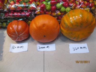 China Artificial pumpkins from Europe Helloween to decorate for sale