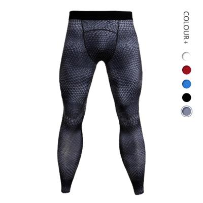 China Breathable Spring And Summer Customized Quick-drying Hot Sale Sports Basketball Gym Pants Bodybuilding Jogging Leggings Men Skinny Tracksuit for sale