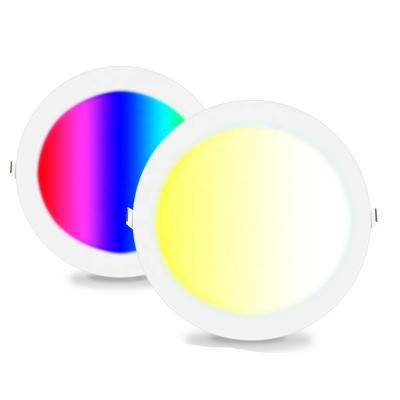 China EUROPEAN smart wifi led panel light 6w 12w 18w 20w 24w 36w frameless round RGB/RGB+W/RGB+CCT led panel light for sale