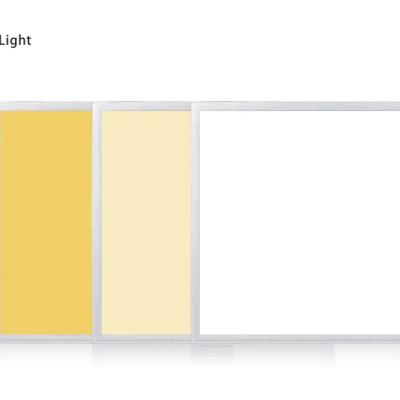 China 2020 Desktop duo-color 2x2 dimmable led light panel led panel light smart sensor control led panel light for home for sale