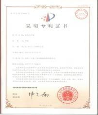 patent for invention - Dongfeng (Shiyan) Torsional Damper Company Limited