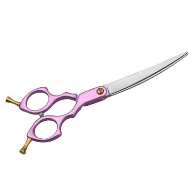 China Sustainable Professional Wholesale Pet Curve Scissors Japan 440C Steel for sale