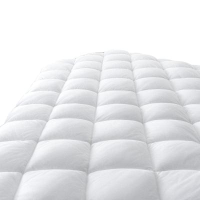 China Queen Quilted Mattress Pad Cover Anti-Static With Deep Pocket (8