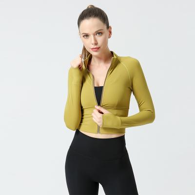 China Wholesale Breathable Autumn Sportswear Workout Clothes For Women Mesh Yoga Jackets Long Sleeve Fitness Women Sports for sale