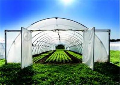 China Hail Resistant Plastic Greenhouse Film For Fruit Tree Covers , Product Exhibition for sale