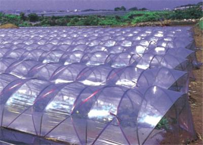 China Length Customized Polycarbonate Greenhouse Sheets Blow Molding Fruit Tree Cover for sale