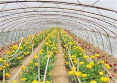 China Mulch Jumbo Rolling Plastic Greenhouse Film With High Impact Resistance for sale