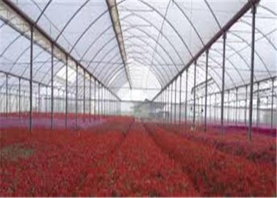 China Transparent Greenhouse Coverings Polyethylene Film Prevent Dripping Onto Plants for sale