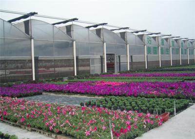 China Greenhouse Coverings Polyethylene Film UVA Diffused 0.06mm-0.14mm Thickness for sale