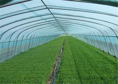 China Soft Uv Resistant Greenhouse Plastic Window Film Less Demand For Watering for sale