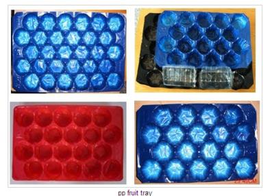 China Biodegradable Fruit Packaging Trays Protect Fruits Without Cracking And Crashing for sale