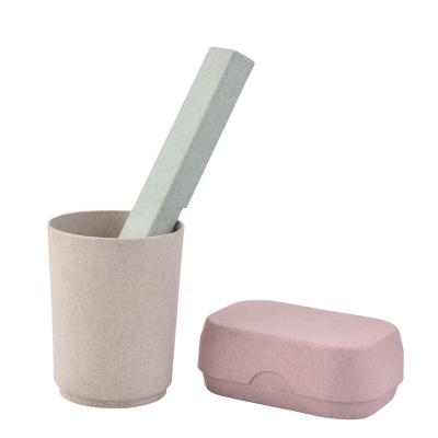 China Carry Toothbrush Soap Box And Sustainable Eco-Friendly Plastic Toothbrush Box for sale