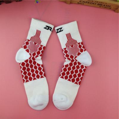 China Wholesale Custom Logo Breathable Anti-fouling Quick-Dry Anti-fouling Unisex Hike Socks for sale