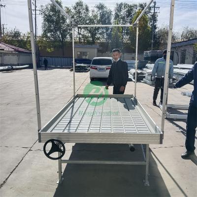 China Stable Structure Easily Assembled Multi Tire Grow Rack System Vertical Rolling Benches With Tray For Plants for sale