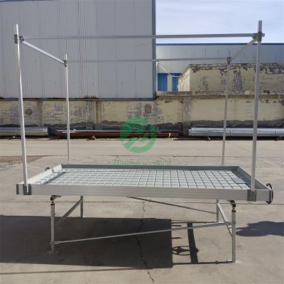 China Stable Structure Easily Assembled Customized Plastic Hydroponic Movable Flood Rolling Greenhouse Growing Bench Table for sale