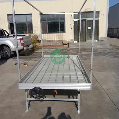 China Stable structure easily assembled 4x8 seedbed can be used to grow crops in greenhouses rolling bench for sale