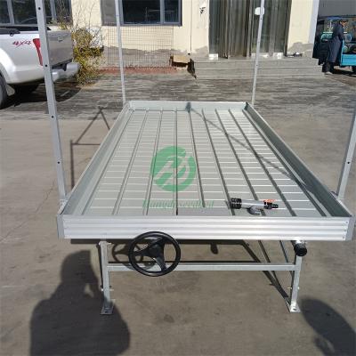 China Stable Structure Easily Assembled Hydroponic Rolling Benches For Commercial Greenhouse Grow Table for sale