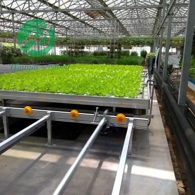 China Stable structure easily assembled agricultural greenhouses seedling greenhouse mobile tidal nursery equipment for sale