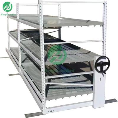 China Stable Structure Easily Assembled Commercial Greenhouse Seedling 4X8 FT Nursery Bed Tray Hydroponics Movable Rolling Bench System Flood Ebb and Flow Table for sale