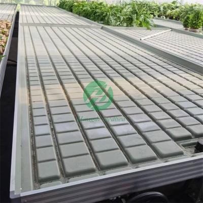 China Stable structure easily assembled plant supplies seedbed for mobile rolling platform planting hydroponic system for sale