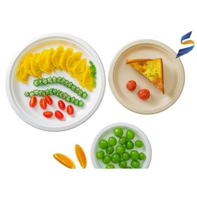 China Disposable Novelty Paper Plate for sale