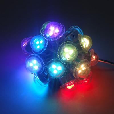 China Waterproof theme park 60mm 24v rgb pixel led 50MM WS 2811 2813 UCS 1903 led dot pixel amusement light for sale