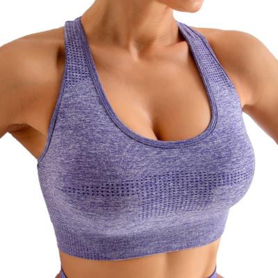 China Breathable Seamless Crop Shockproof Yoga Top Anti-sweat Fitness Bra Shorts Sports Top Women Push Up Sports Bra Gym Workout Top for sale