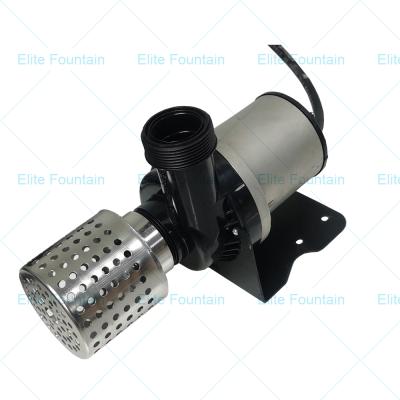 China 304 stainless steel water pump 600W 50Hz family homes DC24V low voltage SS304 fountain pump submersible water pump for sale