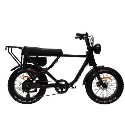 China Standard Motorcycle Electric Bicycle 500w Bike for sale